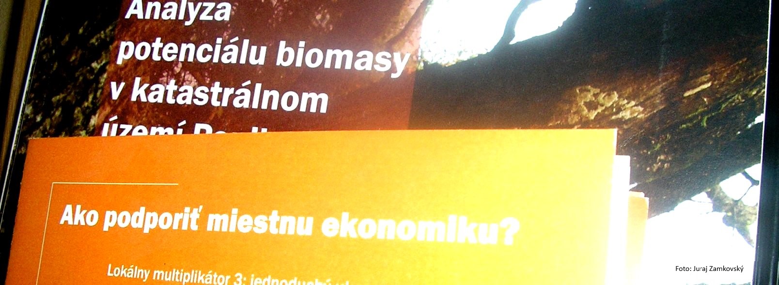 studie-1.jpg