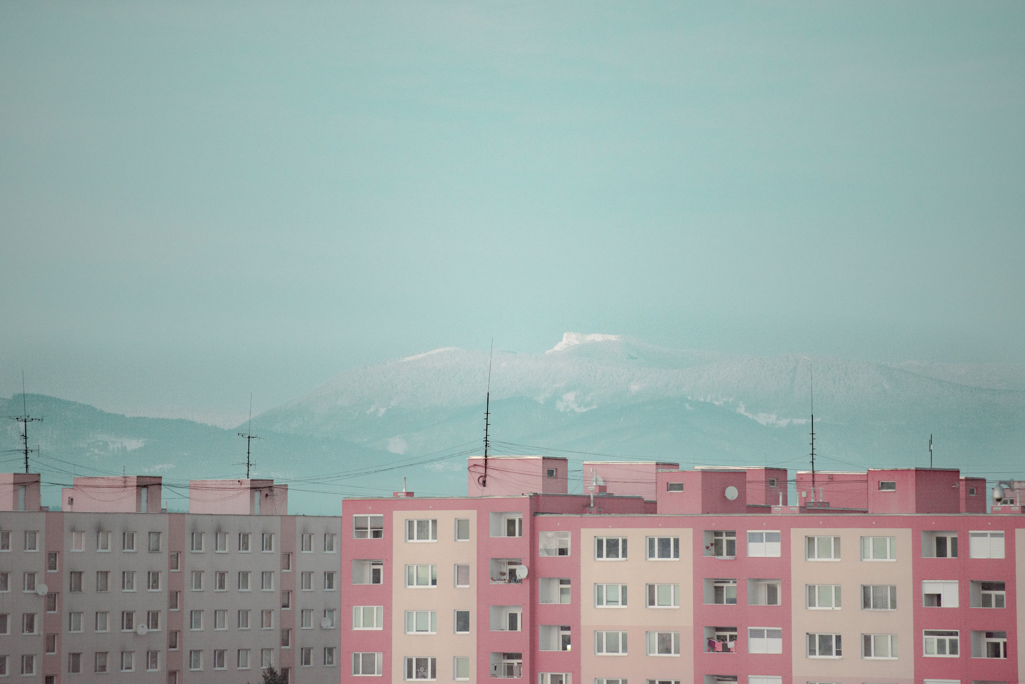 _DSC8459-2-mensi.JPG